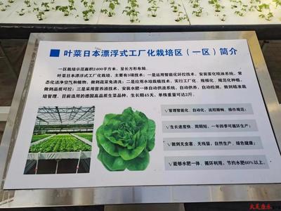踏上现代农业路，谋求果蔬发展新篇章——杨志军率团赴京引智招商纪实