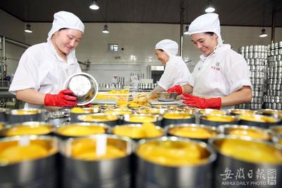 水果收获季 加工出口忙 果蔬产业迎来黄金期