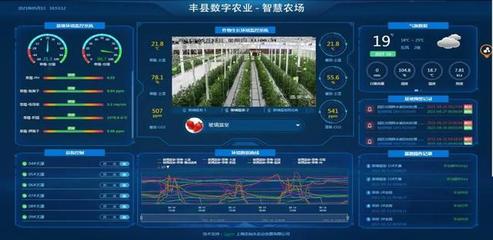 徐州丰县 智慧兴农打造富民“数字化作物工厂”，果蔬产业焕新颜